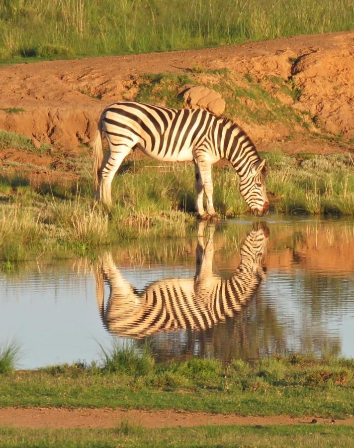 Letsatsi Game Lodge Smithfield エクステリア 写真