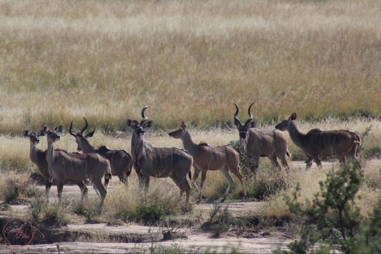 Letsatsi Game Lodge Smithfield エクステリア 写真