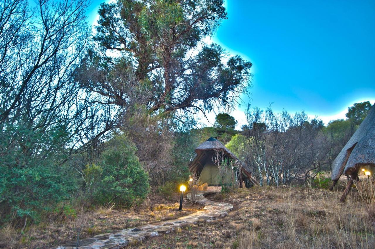 Letsatsi Game Lodge Smithfield エクステリア 写真