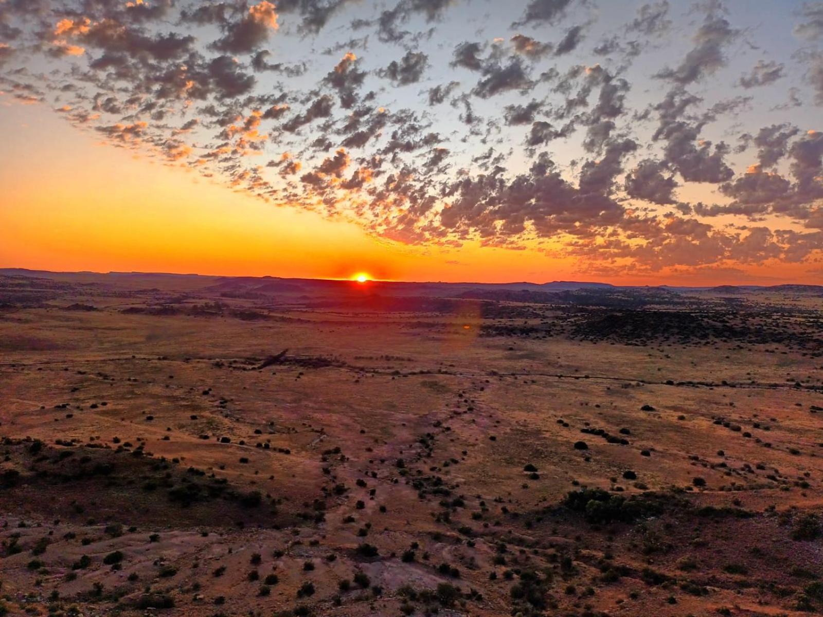 Letsatsi Game Lodge Smithfield エクステリア 写真