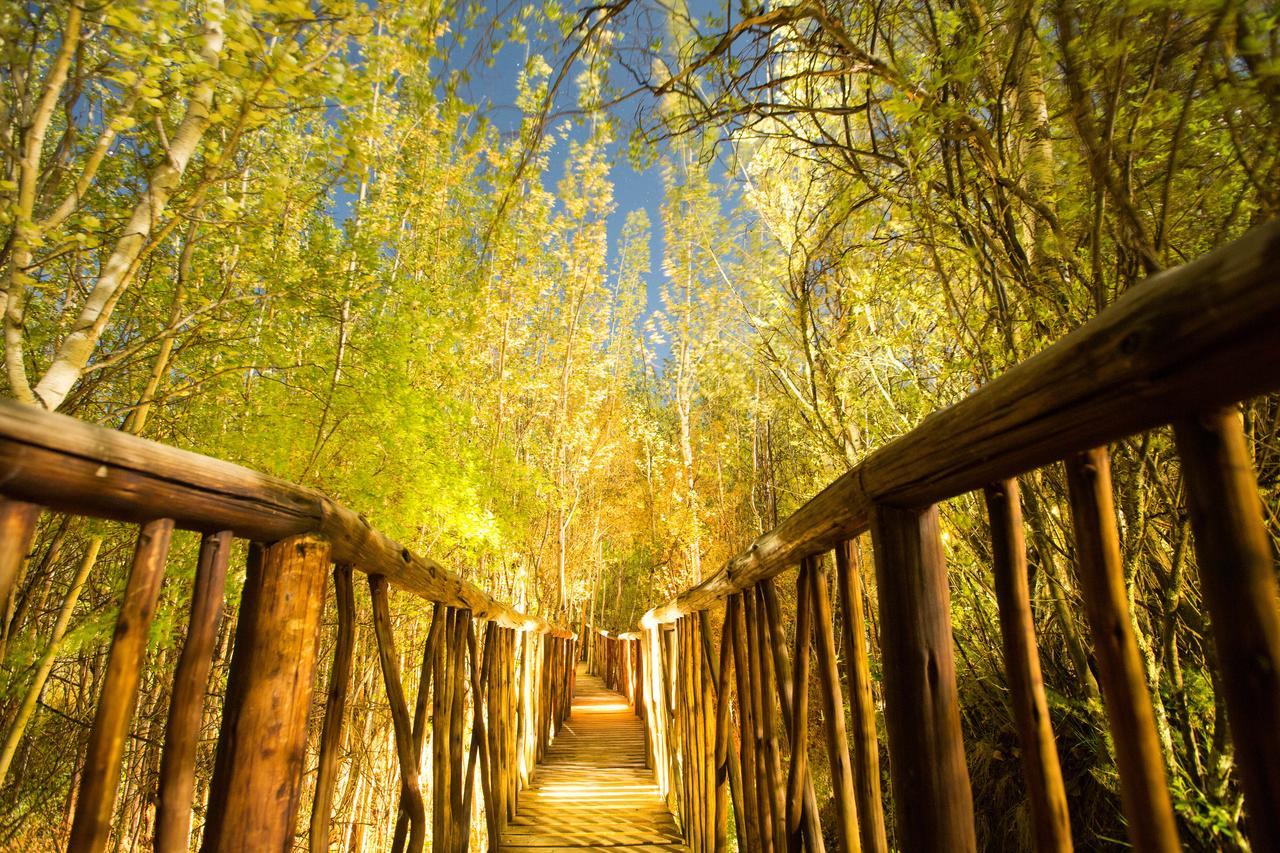Letsatsi Game Lodge Smithfield エクステリア 写真