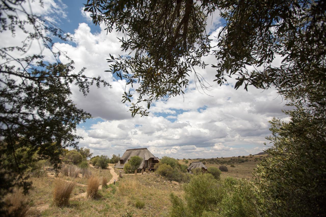 Letsatsi Game Lodge Smithfield エクステリア 写真