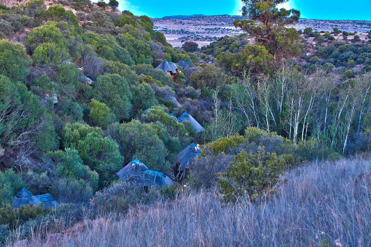 Letsatsi Game Lodge Smithfield エクステリア 写真